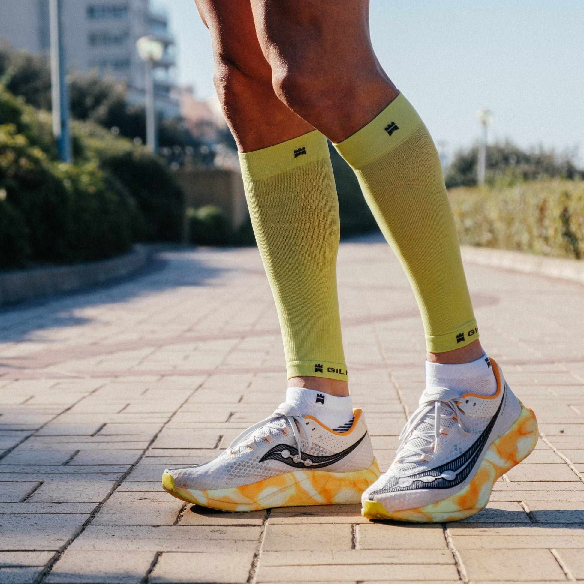 Calf Sleeve (3 Colours) - Gilnokie